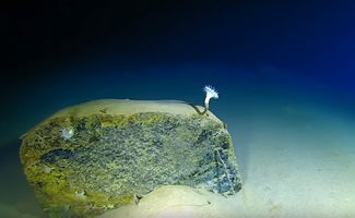 海底深潜纪录