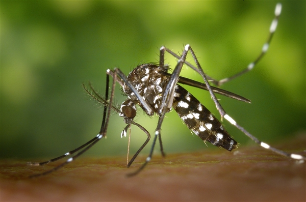 灭蚊器抽查不合格率为40%！触电风险已成为最大的安全问题，专家提醒