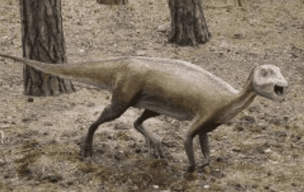 Atlas Copcoosaurus：小型澳大利亚草食恐龙（3米长/1亿年前）