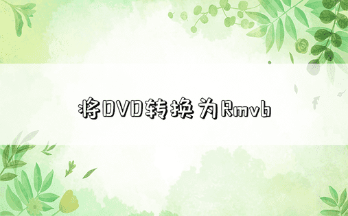 将DVD转换为Rmvb