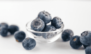 蓝霉成熟期是几月，蓝莓几年会结果
